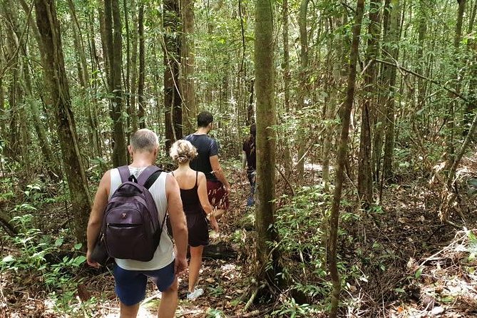 Land Tour 2: Discover the North - Kayaking & Starfish Beach Phu Quoc (Not Lunch) - Pricing and Inclusions