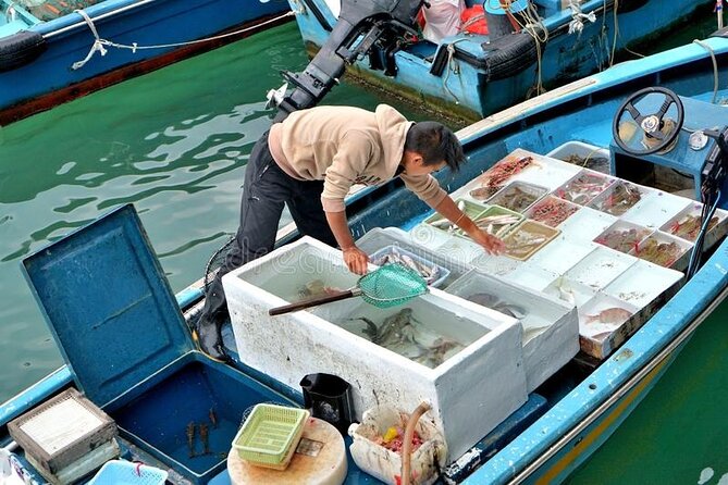 Lantau Island Day Trip - Big Buddha & Tai O () | 1k+ Booked - Dolphin Watching Cruise