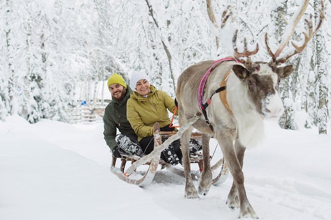 Lapland Reindeer and Husky Safari From Rovaniemi - Tour Inclusions and Exclusions