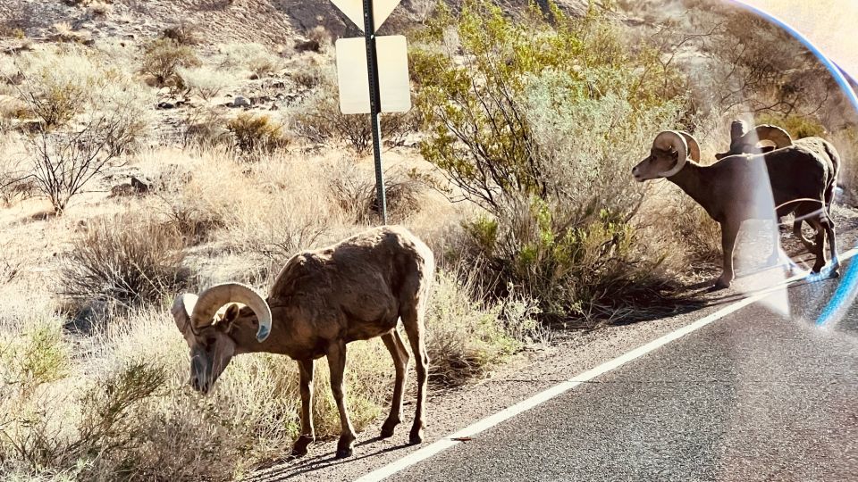 Las Vegas: Valley of Fire Scenic Tour - Tour Inclusions and Exclusions