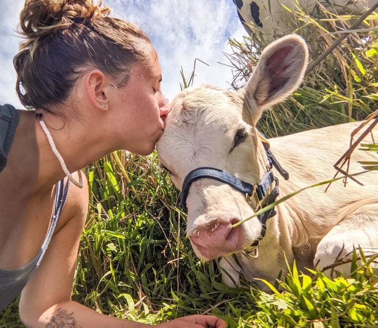 Laupahoehoe: Farm Animal Sanctuary Private Tour - Diversity of Farmed Animals