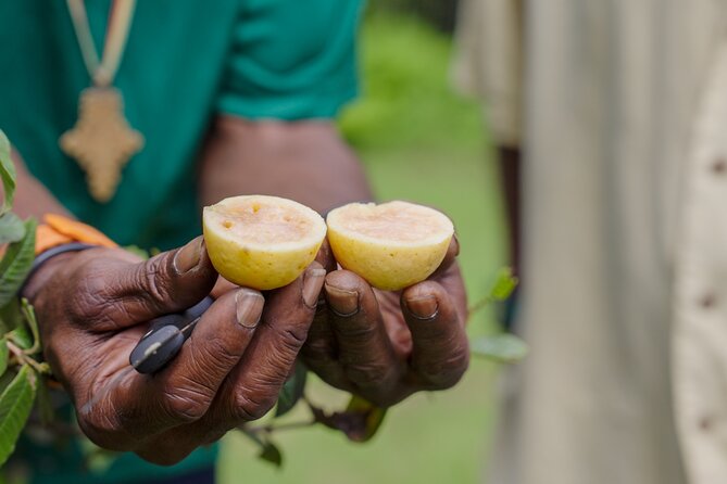 Liamuiga Natural Farm Tour - Transportation Experience