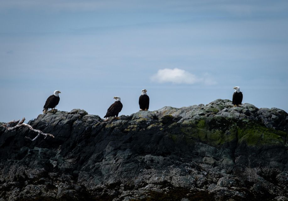 Lighthouse, Totems & Eagles Excursion - Guard Island Lighthouse