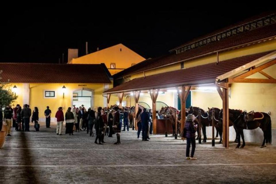 Lisbon: Portuguese Riding School Trainig With Lusitano Horse - Important Visitor Information