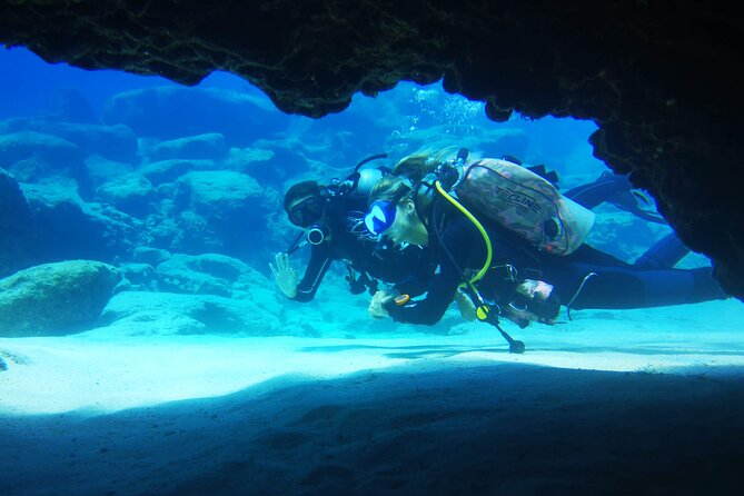 Local Guided Dives (For Certified/Licensed Divers) - Customer Reviews Insights