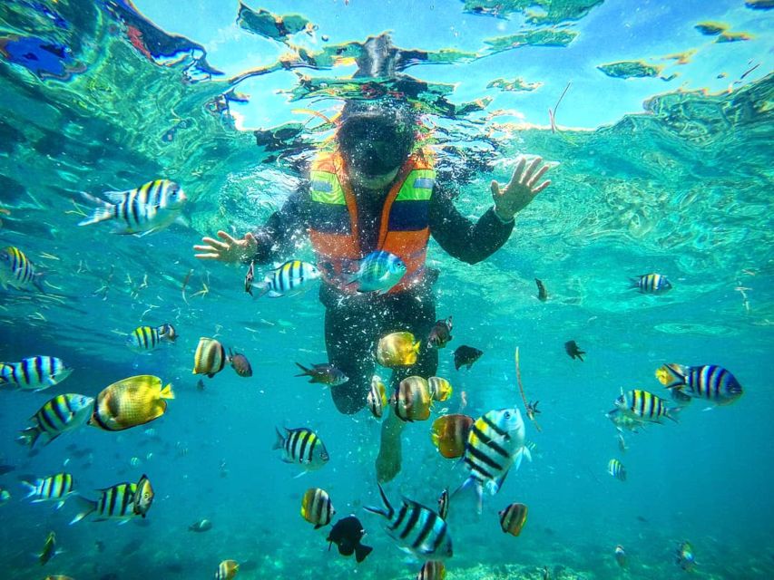 Lombok: Secret Gili Private Snorkeling Boat Trip - Return to the Harbor