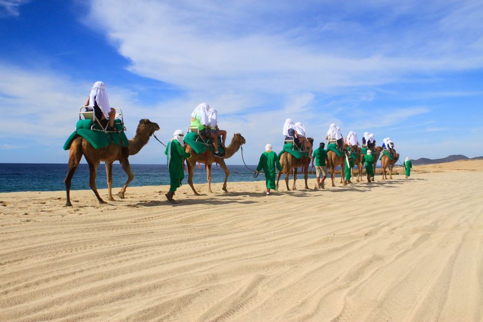 Los Cabos: Camel Ride Safari With Lunch and Tequila Tasting - Photography Policies