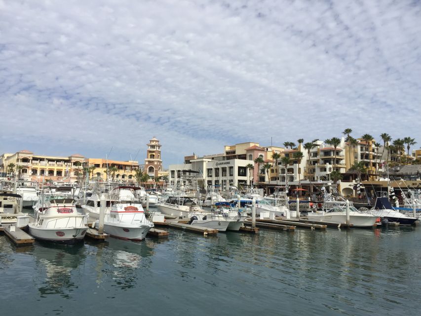 Los Cabos: Half-Day San Lucas and San Jose Tour - Marveling at the Tourist Corridor