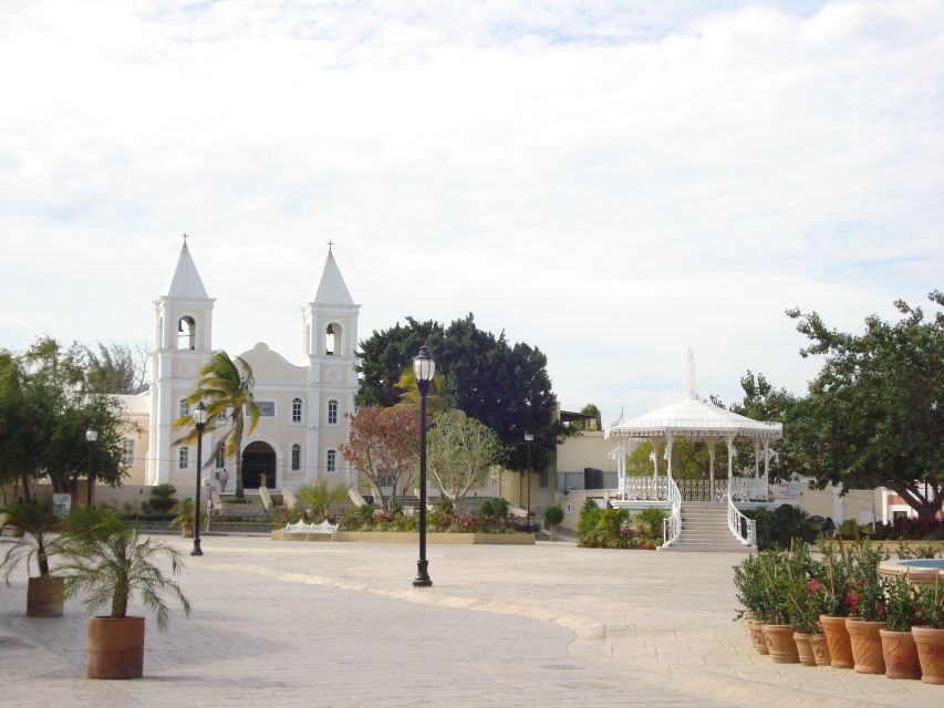 Los Cabos: San Jose and San Lucas Trip With Lunch - Local Mexican Cuisine