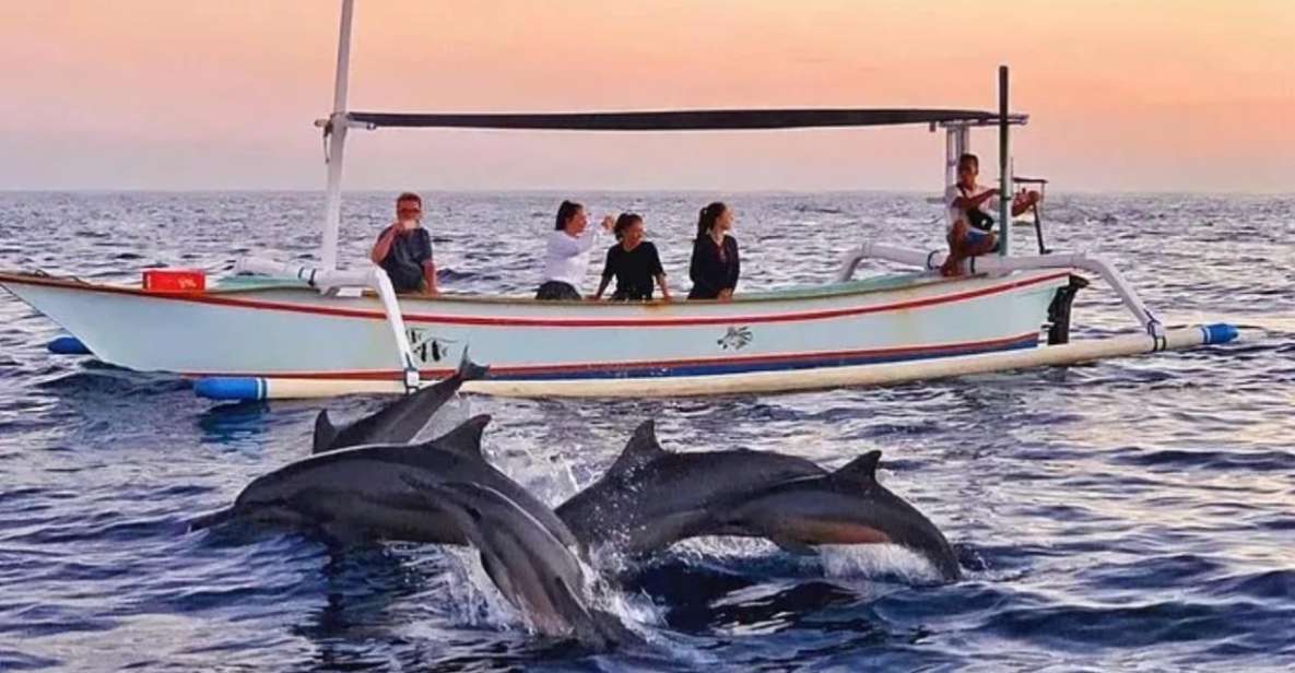 Lovina; Dolphin Watching Tour & Sunrise - Important Considerations