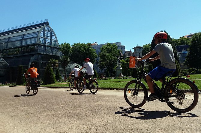 Lyon Small-Group Guided Electric Bike Tour With a Local Guide - Accessibility Considerations