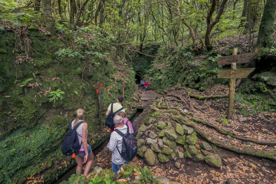 Madeira: Full-Day Laurel Forest Guided Walking Tour - Discover Queimadas Forestry Park