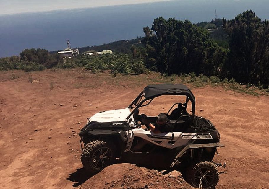 Madeira: Half-Day Off-Road Buggy Tour - Native Birds of Prey