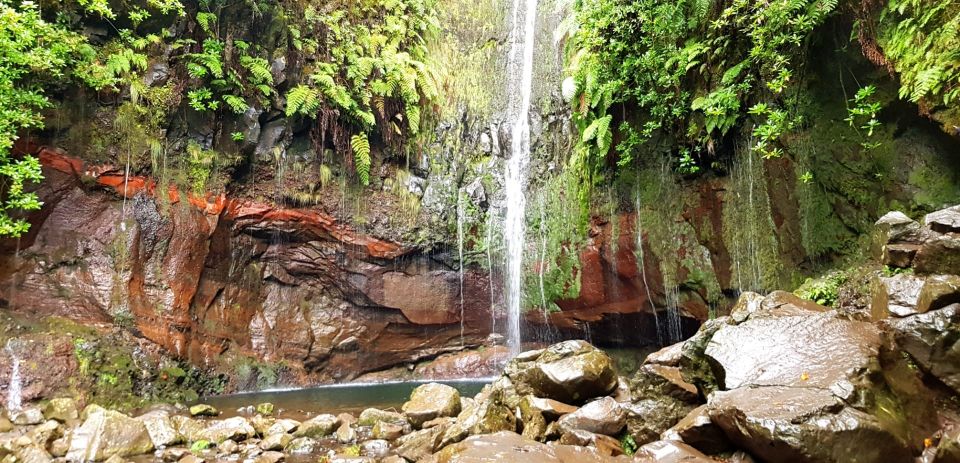 Madeira: Mountain Walk With Lagoon and Waterfalls - Recommendations for Participants