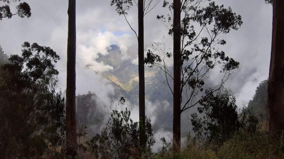 Madeira: Private Half-Day Jardim Da Serra Tour - Exploring Jardim Da Serra