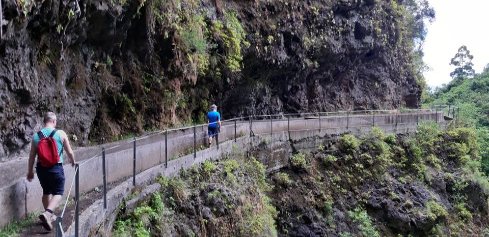 Madeira: Private Levada Faja Dos Rodrigues Walk - Suitability and Restrictions