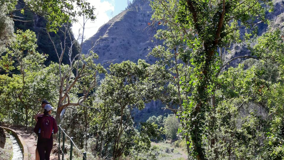 Madeira: Private Moinhos Levada Nova Walk Ponta Do Sol - Difficulty and Accessibility