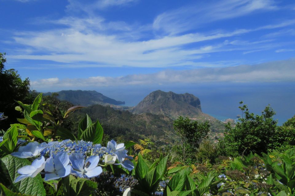 Madeira: Santo De Serra Local Farmers Market Half Day Trip - Included and Excluded