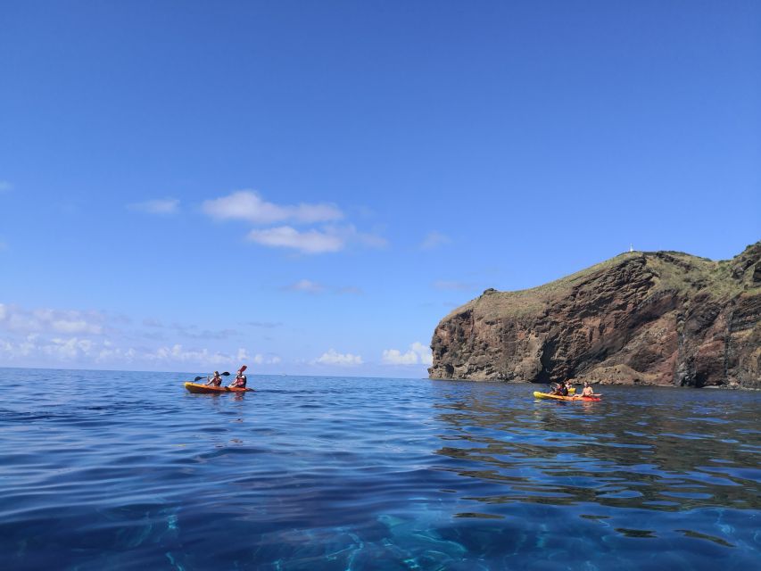 Madeiras Marine Reserve: Kayak & Snorkelling Trip - Marine Life Encounters