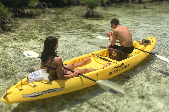 Magic Mangrove Paddle in Beef Island Lagoon - Additional Considerations