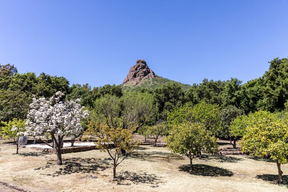 Malibu: Guided Vineyard Hike With Photo Stops and Wine - Chumash Cave Paintings Discovery