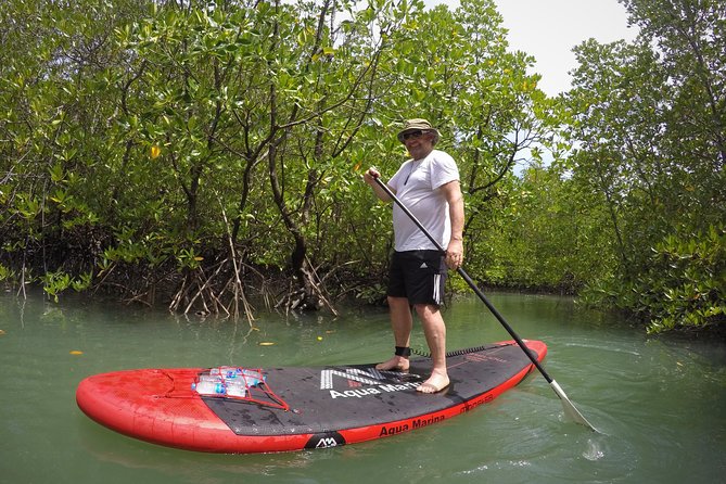 Mangroves SUP Tour Phuket - Mangrove Ecosystem Exploration