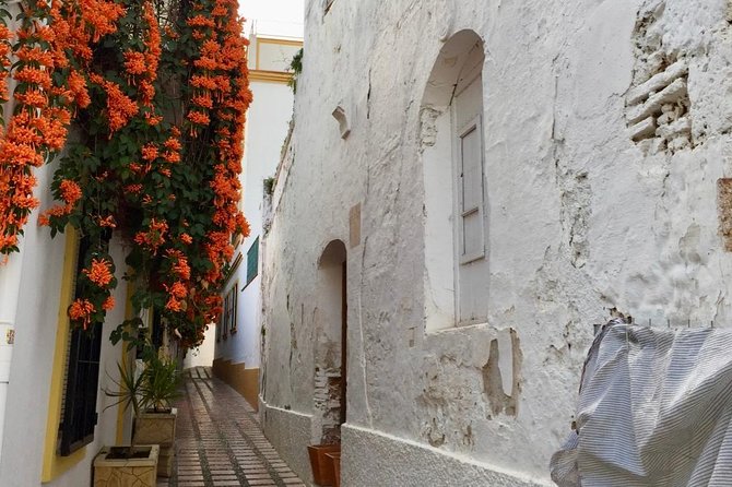 Marbella Old Town Group Tour With a True Local - Group Size and Cancellation Policy