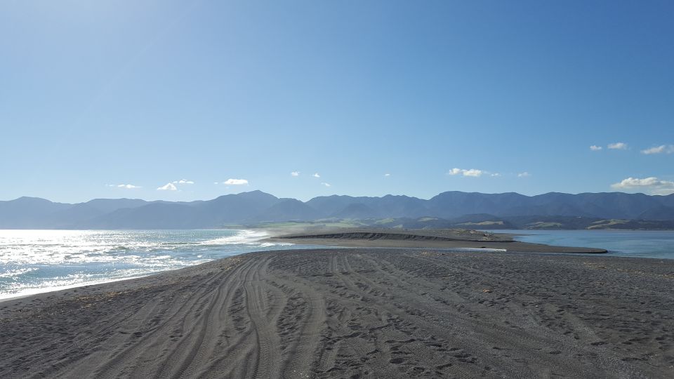 Martinborough Winery and South Wairarapa Wild Coast Tour - Highlighted Tour Features