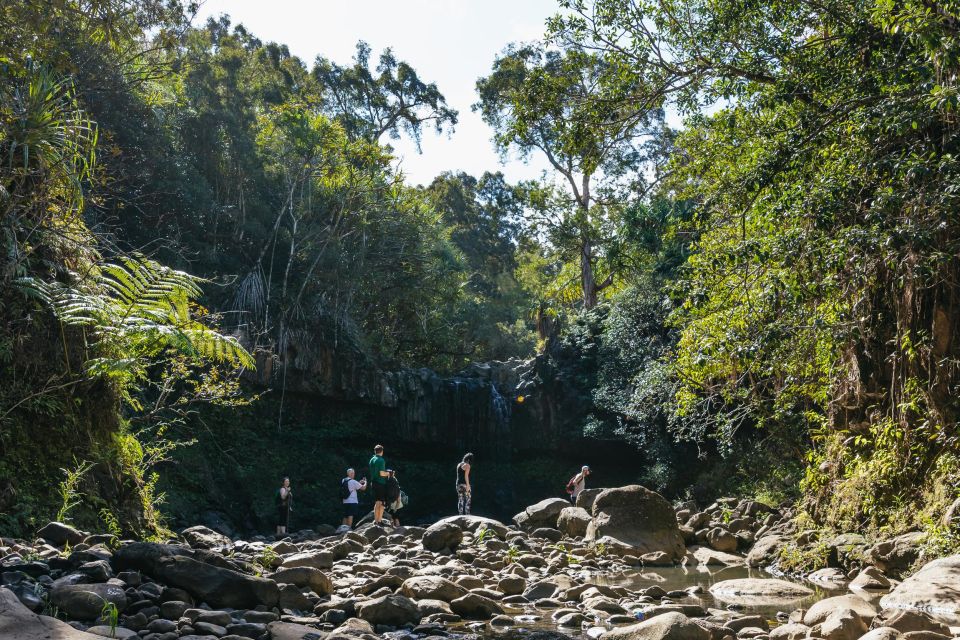 Maui: Rainforest Waterfalls Guided Hike With Picnic Lunch - Cultural and Natural Insights