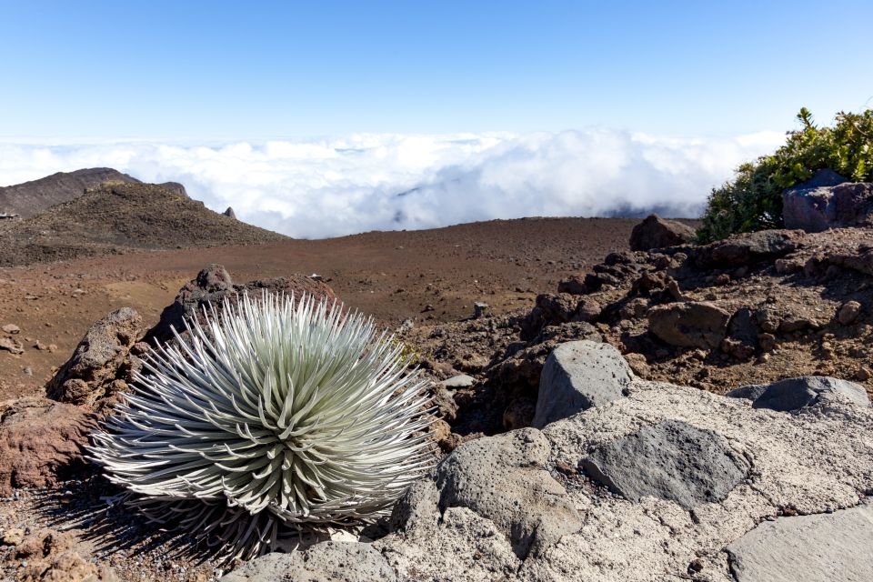 Maui: Sunrise & Breakfast Tour to Haleakala National Park - What to Bring