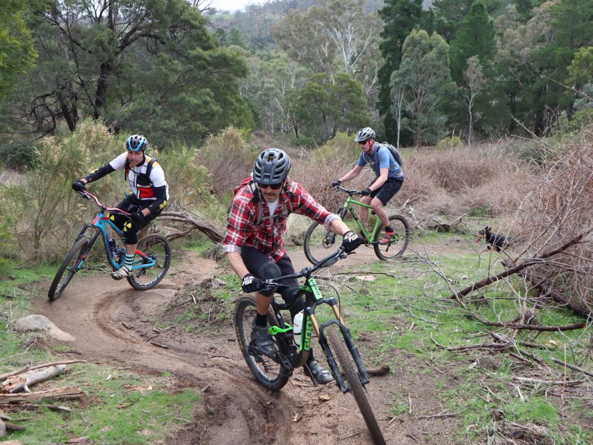 Melbourne: 1-Day Mountain Biking Adventure With Lunch - Directions