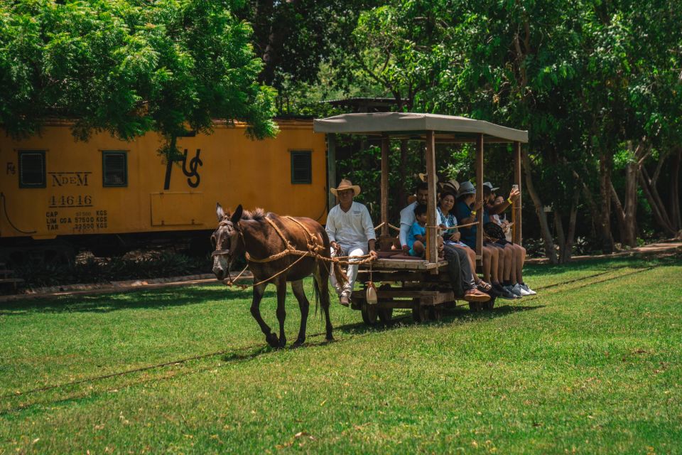 Merida: Hacienda Sotuta De Peon With Cenote and Henequen Tour - Mayan House Visit