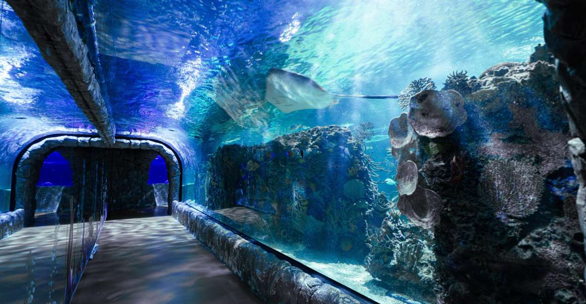 Mexico City: Inbursa Aquarium Ticket With VR Option - Logistical Information