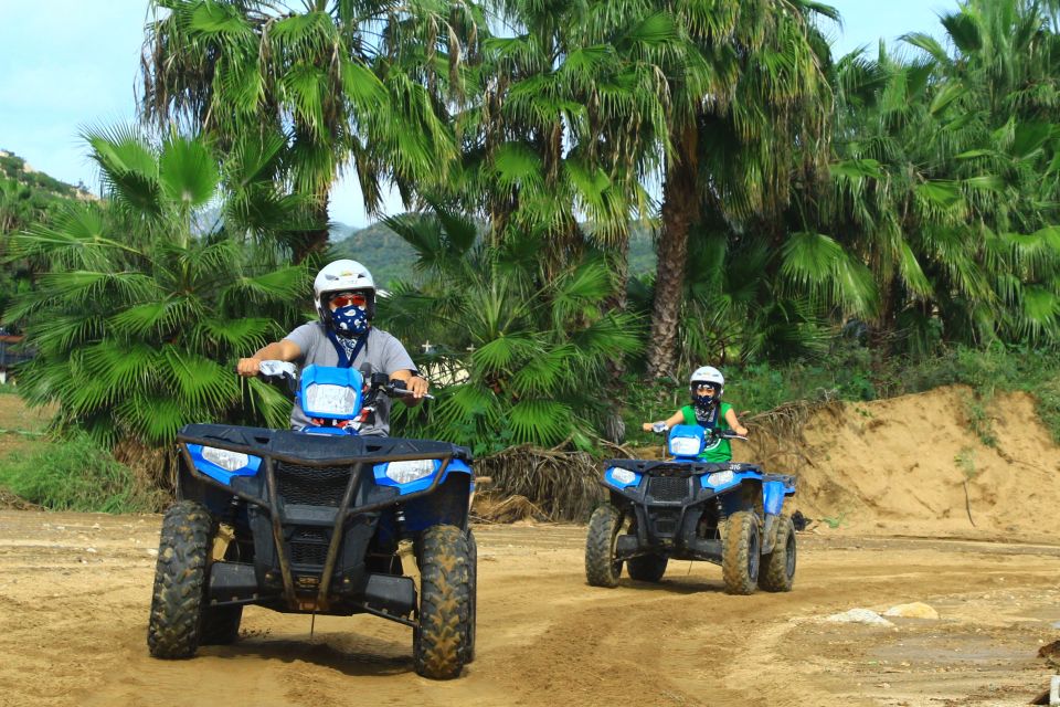 Migriño Beach and Dunes ATV Tour in Cabo by Cactus Tours - What to Expect on the Tour