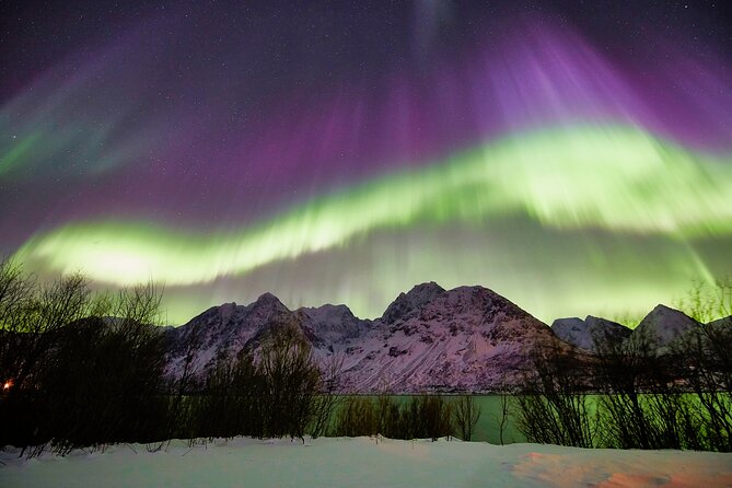 Minivan Northern Lights Excursion (8 Guests per Minivan) - Photography Tips
