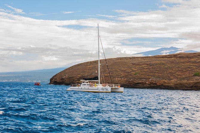 Molokini and Turtle Arches Snorkeling Trip From Maalaea Harbor - Frequently Asked Questions