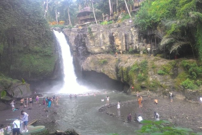 Monkey Forest, Ubud, and Rice Terraces - Discovering Rice Terraces