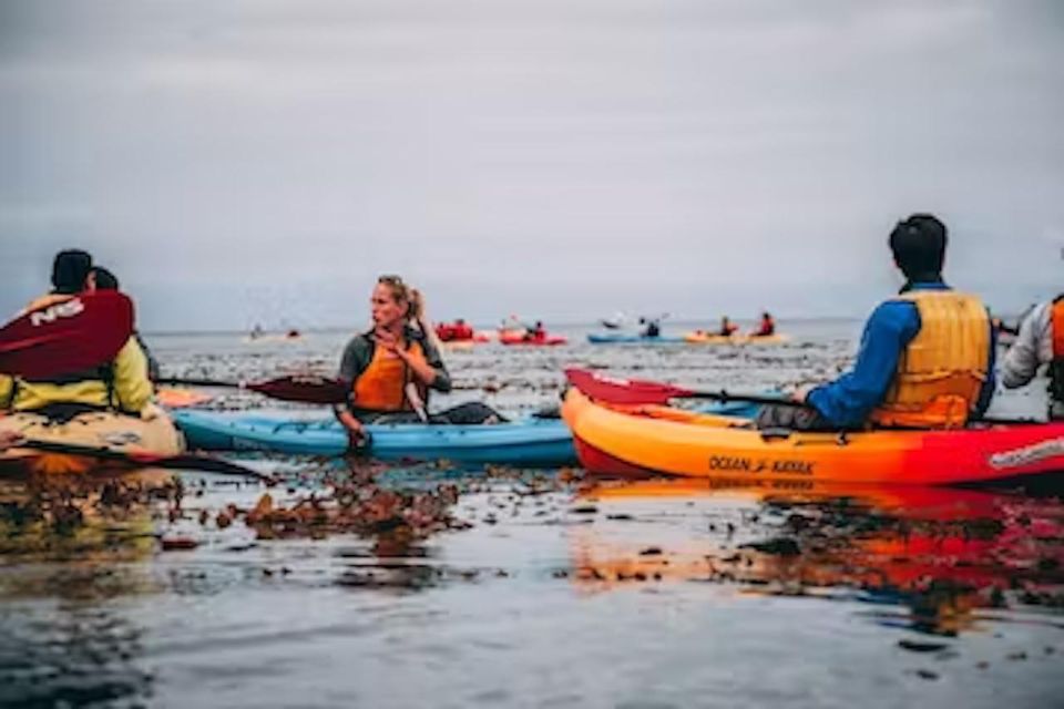 Monterey: Cannery Row Kayak Tour - Key Details to Note