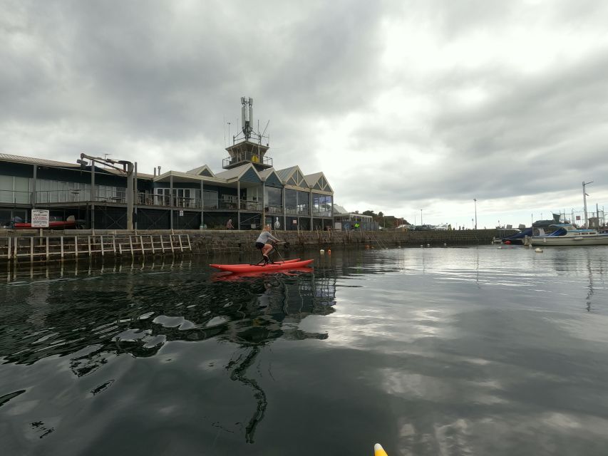 Mornington: Port Phillip Bay Water Bike Tour - Inclusions and Exclusions