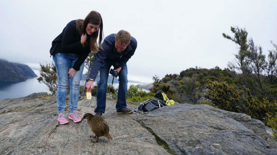 Mou Waho Island 3.5-Hour Cruise and Nature Walk - Booking Information