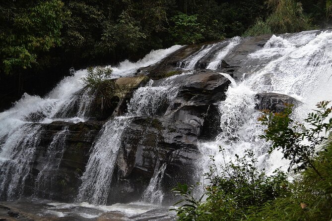 Mount Doi Inthanon National Park Sunrise and Hiking - Sampling Local Coffee