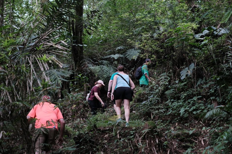 Mt. Merapi Majesty: Soft Trek and Botanic Village Tour - Exclusions