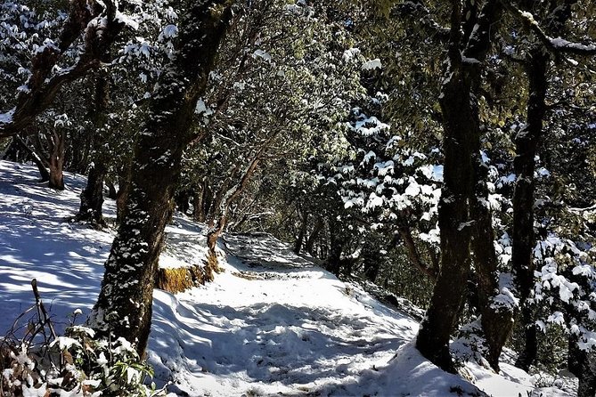 Nag Tibba 2 Days Trek - Frequently Asked Questions