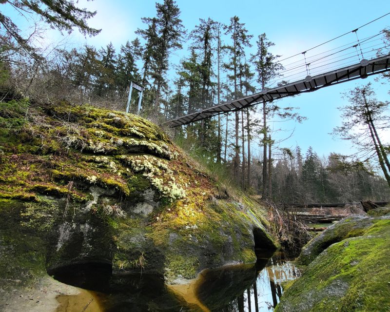 Nanaimo: Vancouver Island Waterfalls, Vistas, Hikes & Caves - Guided Tours