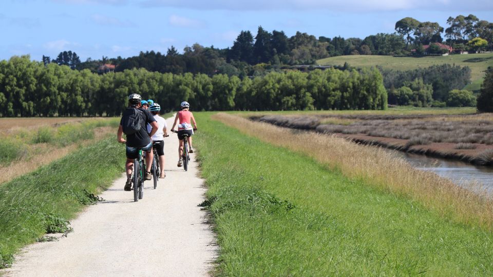 Napier: Art Deco Bike Ride and Wineries Loop - Explore Napiers Highlights