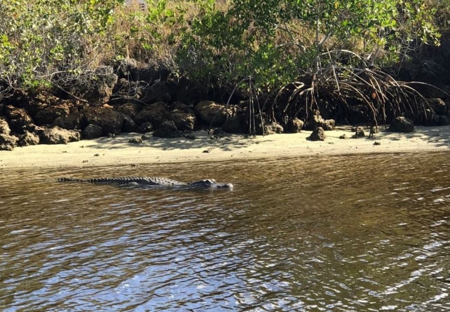 Naples, FL: Manatee, Dolphin, 10,000 Islands Sunset Cruise - Thrilling Ride Along Calm Waters