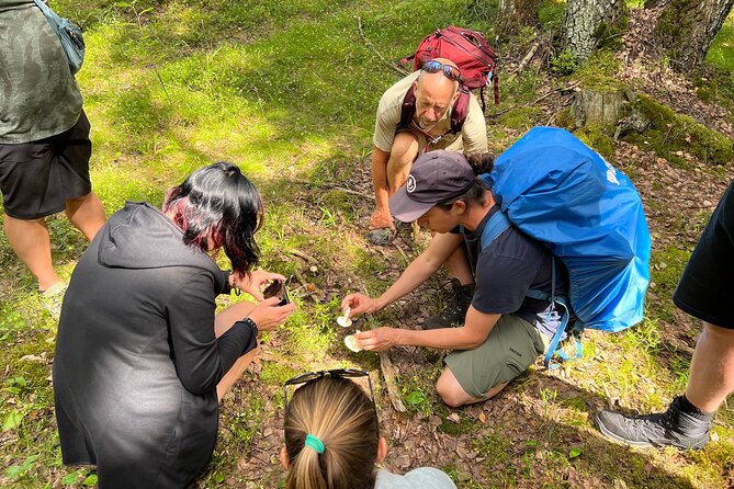 National Park Hike & Finnish Smoke Sauna Experience With Campfire Lunch - Finnish-style Campfire Lunch