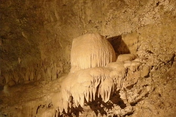 Natural Wonders of Barbados Small-Group or Private Tour With Harrisons Cave - Experience the Flower Forest