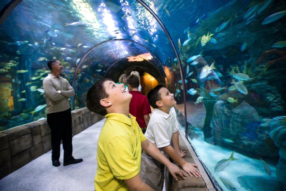 New Orleans: Audubon Aquarium & Insectarium Ticket - Practical Information for Visitors