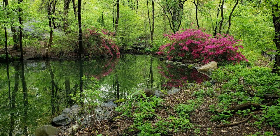 New York City: Central Park Walking Tour - Parks Origins and Design